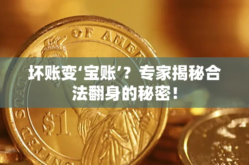北京坏账变‘宝账’？专家揭秘合法翻身的秘密！