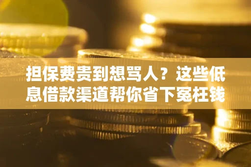 北京担保费贵到想骂人？这些低息借款渠道帮你省下冤枉钱
