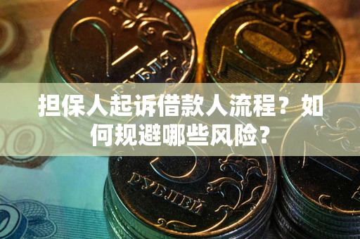 北京担保人起诉借款人流程？如何规避哪些风险？