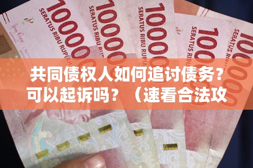 北京共同债权人如何追讨债务？可以起诉吗？（速看合法攻略）