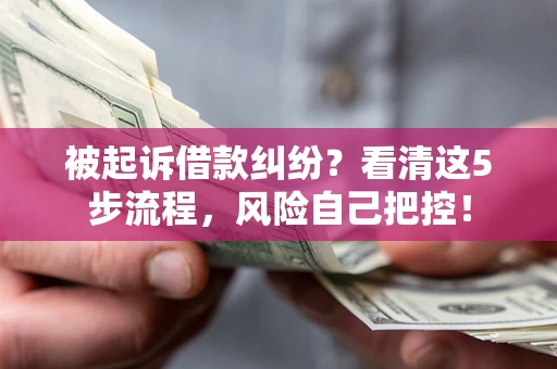 北京被起诉借款纠纷？看清这5步流程，风险自己把控！