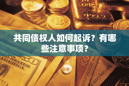 北京共同债权人如何起诉？有哪些注意事项？
