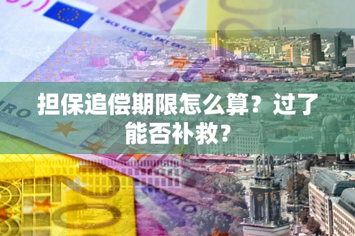 北京担保追偿期限怎么算？过了能否补救？